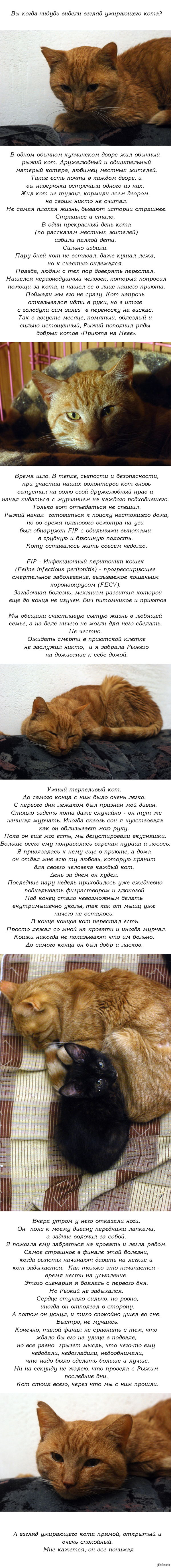Кракен плейс