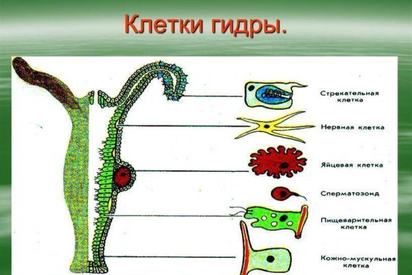 Кракен зеркало рабочее на сегодня