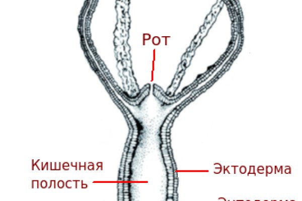 Не могу зайти на кракен