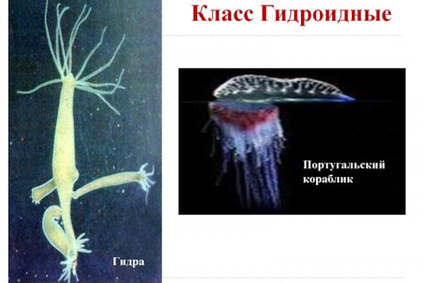 Кракен сайт 18