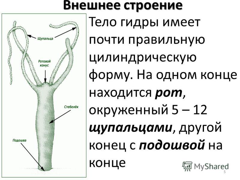 Кракен продает наркотики