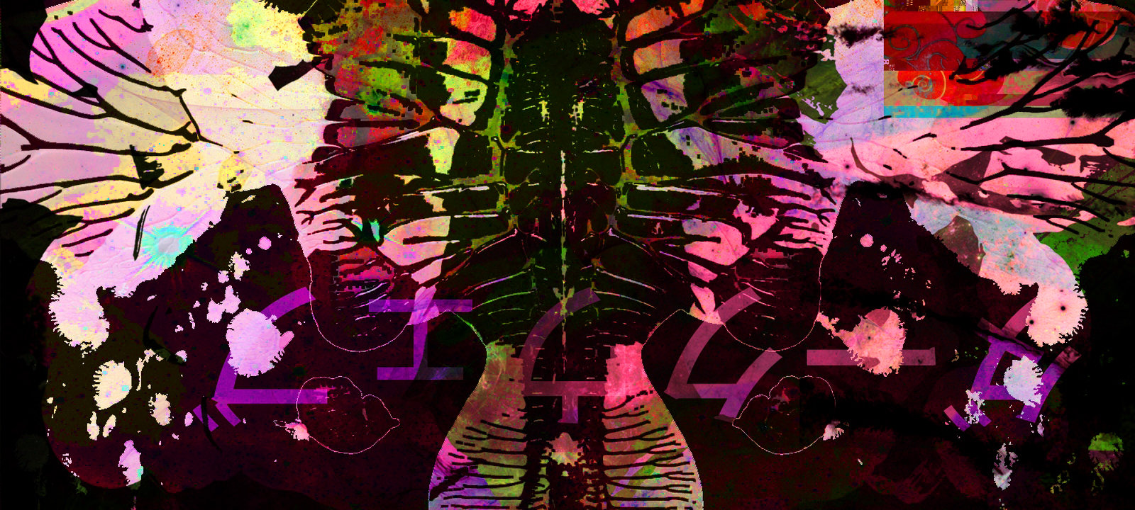 Kraken 13 at